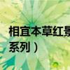 相宜本草红景天系列的功效（相宜本草红景天系列）