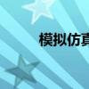 模拟仿真是什么意思（模拟仿真）