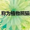 称为植物熊猫的树是什么树（植物熊猫之称）