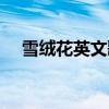 雪绒花英文歌曲原版（雪绒花英文歌曲）