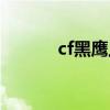 cf黑鹰上架时间（cf黑鹰角色）