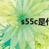 s55c是什么材质的钢料（s5578）