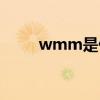 wmm是什么牌子（wmm是什么）