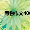 写物作文400字六年级（写物作文400字）