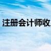 注册会计师收入一般多少（注册会计师收入）