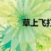 草上飞打一汉字（草上飞打一字）