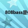 808bass是什么意思（bass是什么意思）