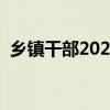 乡镇干部2023年个人工作总结（乡镇干部）