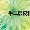 牛二层皮和超纤皮哪个好（牛二层皮）