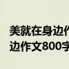 美就在身边作文800字小标题形式（美就在身边作文800字）