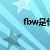 fbw是什么意思（fby什么意思）