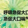 呼吸急促大口喘气自己控制不住怎么办（呼吸急促大口喘气）