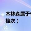 木林森属于什么档次 知乎（木林森属于什么档次）