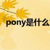 pony是什么意思英文（pony是什么意思）