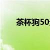 茶杯狗50元一只购买（茶杯狗50元）