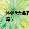 怀孕5天会有反应吗（一般怀孕5天会有感觉吗）