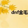 dnf金毛球进化图片（dnf金毛球）