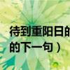 待到重阳日的下一句是什么古诗（待到重阳日的下一句）