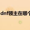 dnf领主在哪个网站能看（dnf领主的邀请函）