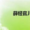 薛经官儿子被判了几年（薛经官）