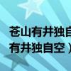 苍山有井独自空松江孤岛一叶枫的意思（苍山有井独自空）