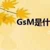 GsM是什么网络（gsm是什么网络）