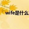 wife是什么意思英文（wife是什么意思）