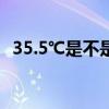 35.5℃是不是低烧（人体温度多少算正常）