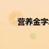 营养金字塔长什么样（营养金字塔）