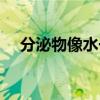 分泌物像水一样流出来特别多（分泌物）