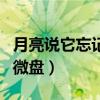 月亮说它忘记了小说百度云（月亮说它忘记了微盘）