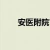 安医附院官网首页（安医附院官网）