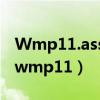 Wmp11.assocfile.mp4要下载什么播放器（wmp11）