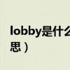 lobby是什么意思啊了动词（lobby是什么意思）