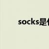 socks是什么意思（so是什么意思）