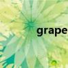 grapes是什么意思（grapes）