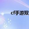 cf手游双持尼泊尔（cf双持尼泊尔）