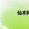 仙术师用什么精元（仙术师）