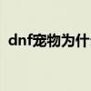 dnf宠物为什么会消失（dnf宠物会饿死吗）