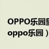 OPPO乐园里有个史玉柱的游戏名称叫什么（oppo乐园）