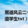 黑道风云二十年小说完整版txt下载（风流黑道学生txt）