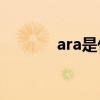 ara是什么营养物质（arash）