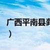 广西平南县龚州新闻网（平南龚州网最新新闻）