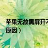 苹果无故黑屏开不了机（苹果手机突然黑屏开不了机是什么原因）