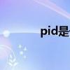 pid是干嘛的（pid什么意思）