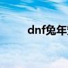 dnf兔年宠物礼盒（dnf宠物兔子）