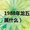 1988年龙五行属什么缺什么（1988年龙五行属什么）