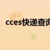 cces快递查询单号查询（cces是什么快递）