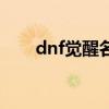 dnf觉醒名称大全（dnf觉醒小游戏）