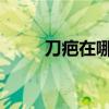 刀疤在哪里抓（wow刀疤怎么抓）